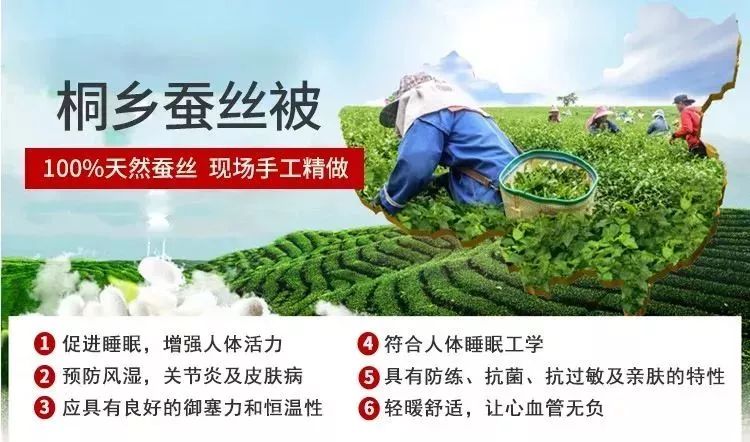 蚕丝的内幕,蚕丝被内幕曝光