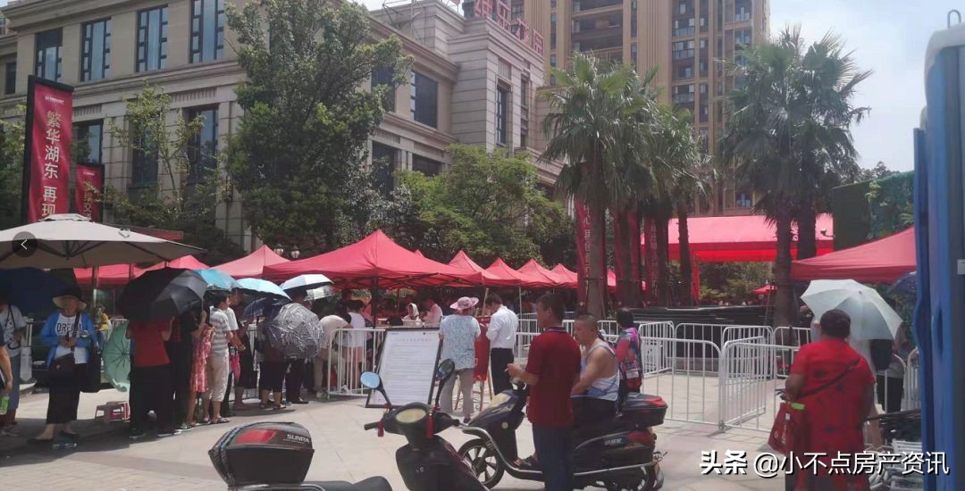 南山维拉花园最近消息,南山维拉一期开盘时间