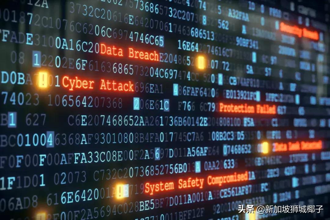 高薪!一部中国热播偶像剧,让新加坡这个专业彻底火了