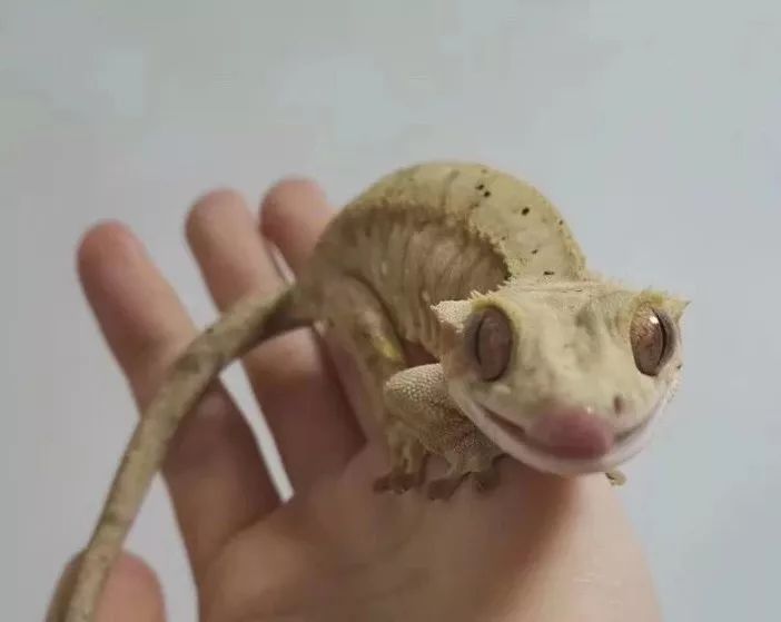 一群博士硕士,动不动“鬼混”到半夜,却干成了件人人称赞的事