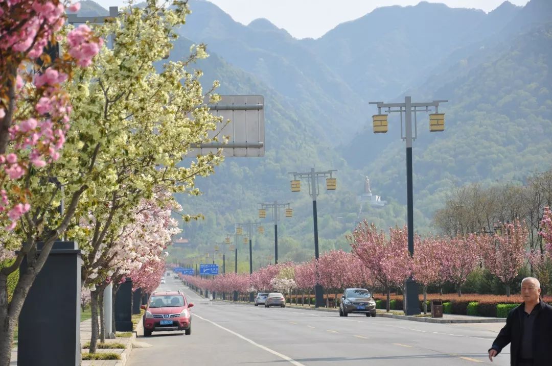 还犹豫啥？楼观处处好*光春**，吃住游玩全搞定！