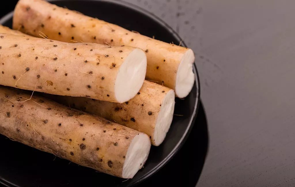 身边处处天然药,延年益寿保健康