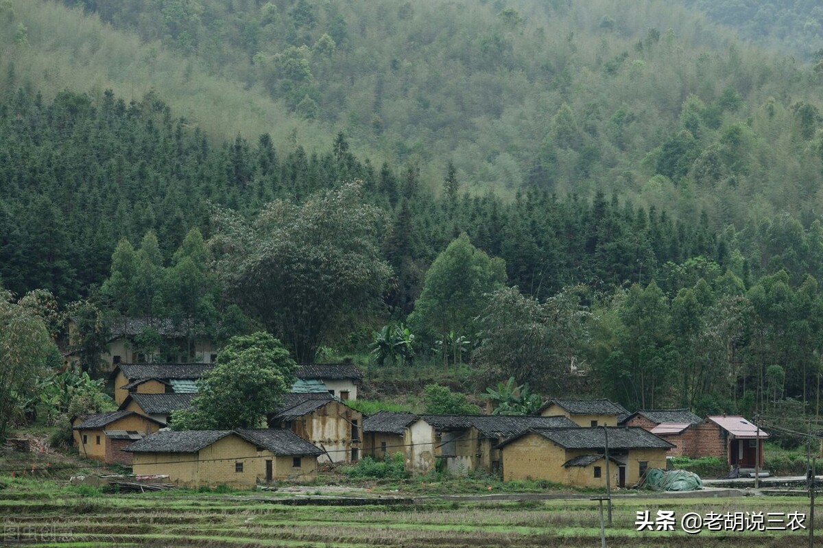 先乔迁再净宅,新居入伙前老人家先住进什么意思