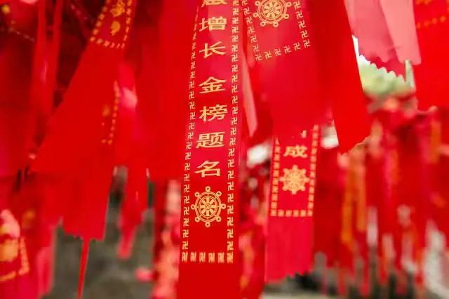 高考志愿录取规则,高考志愿填报技巧浙江