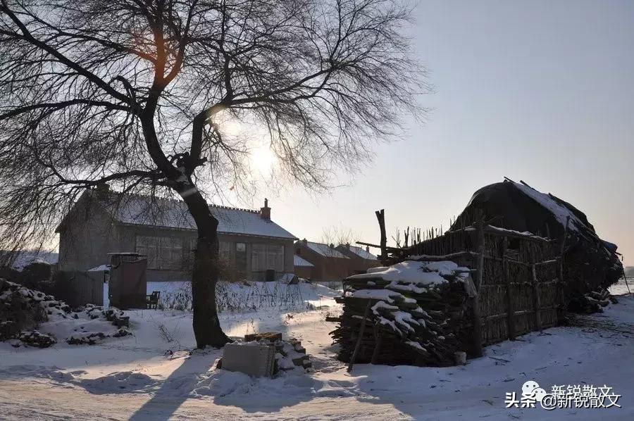 李景宽,李景宽编剧