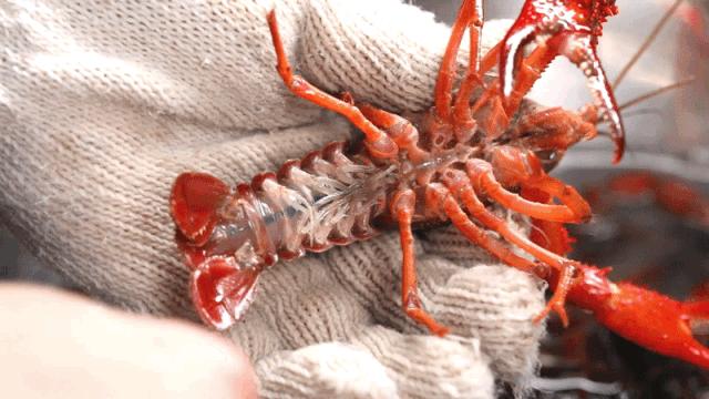 虾球可以怎么吃,虾球到底能不能吃