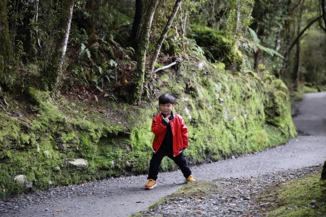 有一种风情叫江南烟雨,波密西藏江南