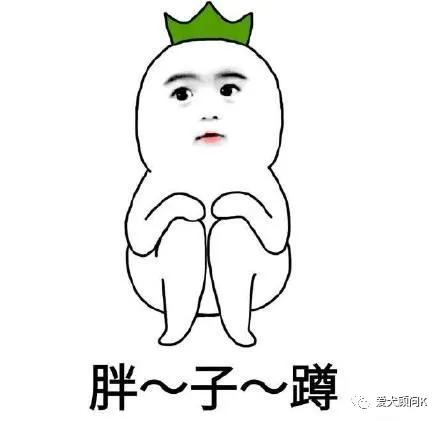 狗狗太胆小甚至怕主人,打了狗狗一次狗狗怕主人怎么办