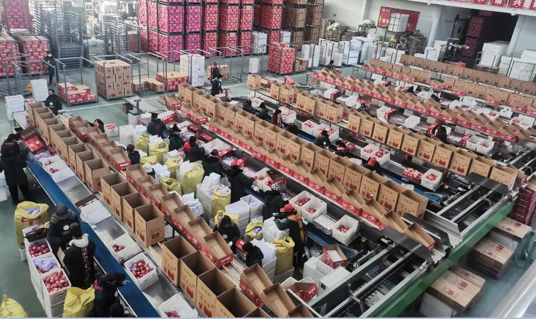 【开局“十四五”迈好第一步】回首2020，“数”说洛川成绩～