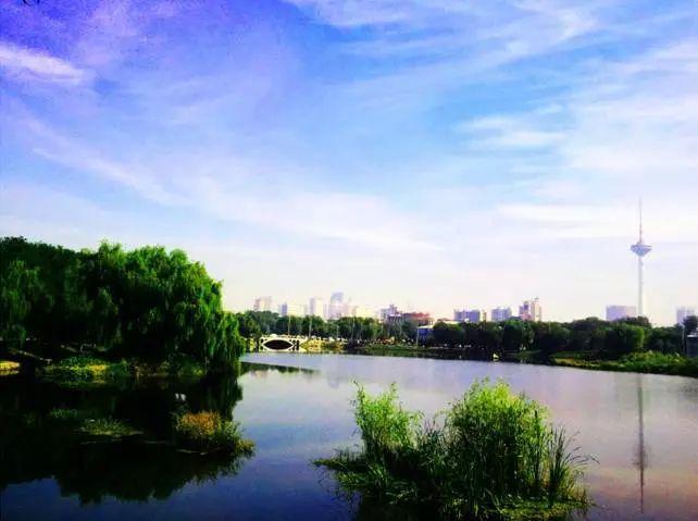 辽宁6名小学生溺亡事件,辽宁学生溺亡