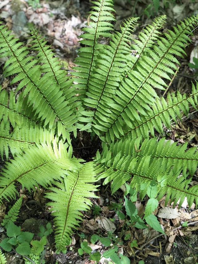 智者乐山仁者乐水谁作的诗,智者乐山仁者喜水
