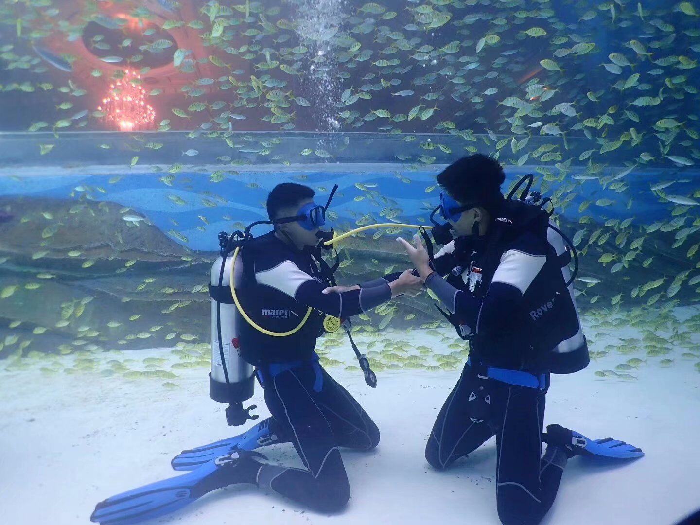 在三亚潜水需要带什么,在三亚玩潜水哪里好玩