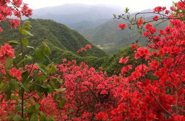 达州三汇,四川省渠县三汇白腊坪民间故事