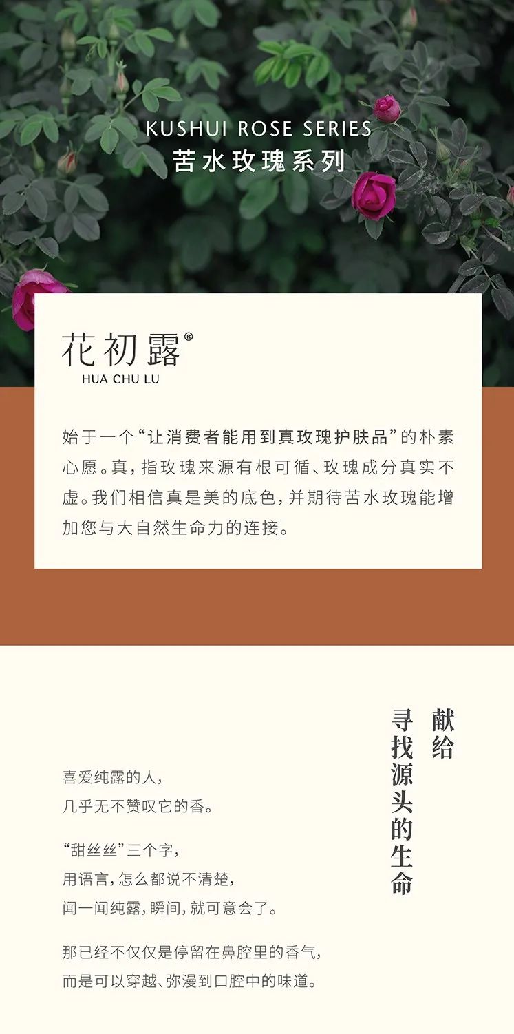 今日份温柔情话,今日份温柔与浪漫