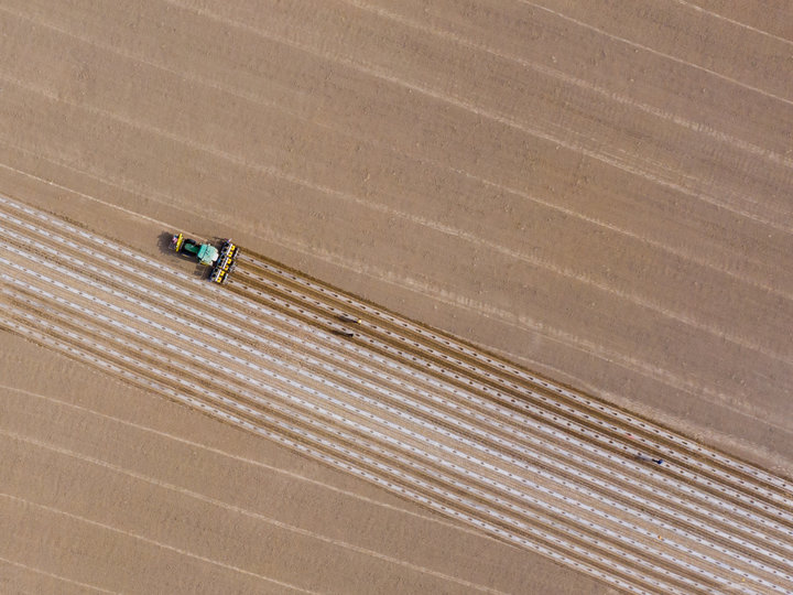新疆棉花辟谣,辟谣新疆和田