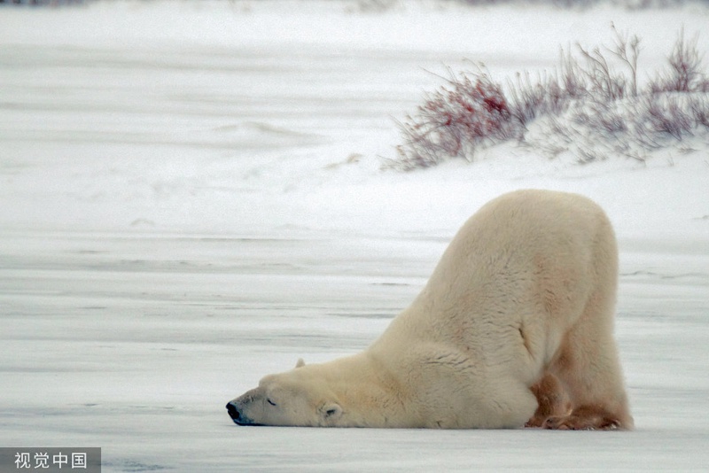 缓解肚子胀气最快方法婴儿,小孩肚子胀气怎么办最快的方法