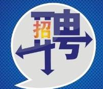 山东紫海集团,山东海洋集团总部招聘公告