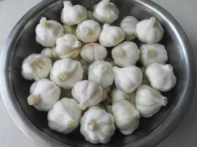 能快速腌好糖蒜的方法,教你快速腌糖蒜入味的3大窍门