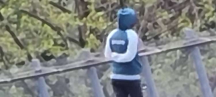 除了拍照片还能干啥,除了拍写真还可以干嘛