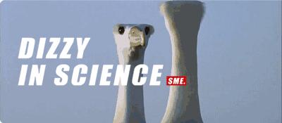 神秘的失落岛屿,失落的岛屿奇怪事