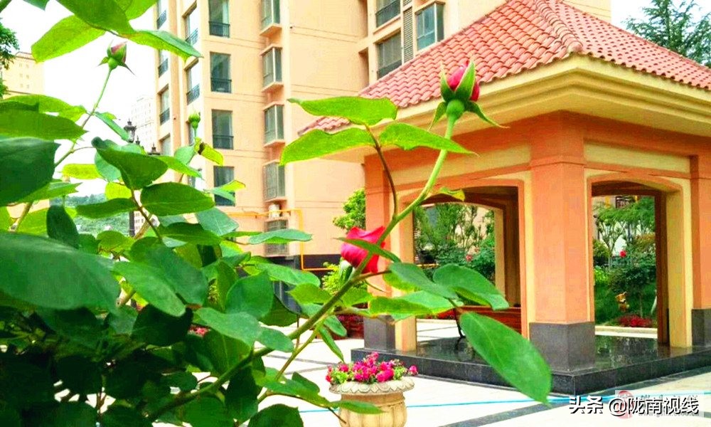 瑞丰投资集团好吗,瑞丰炒股