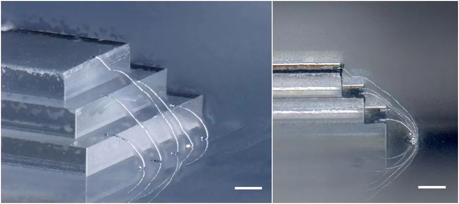 三维交互技术的前景,柔性可穿戴电子技术