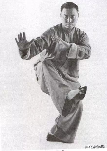 能主宰于腰,太极成矣