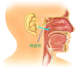 三个月宝宝耳朵流脓了怎么办,3个月宝宝耳朵流脓怎么办