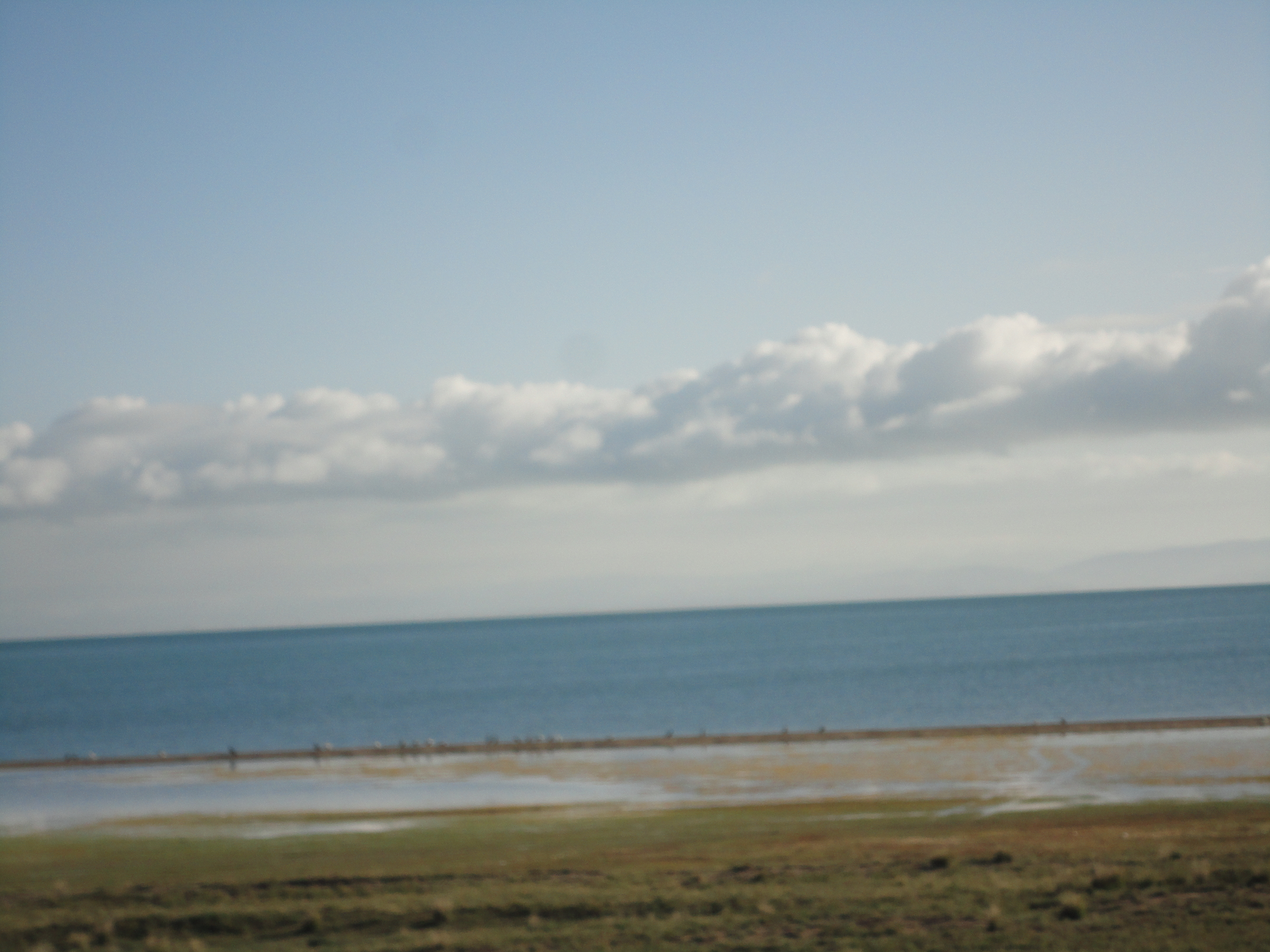 古老神奇的柏树,鄂托克遗址