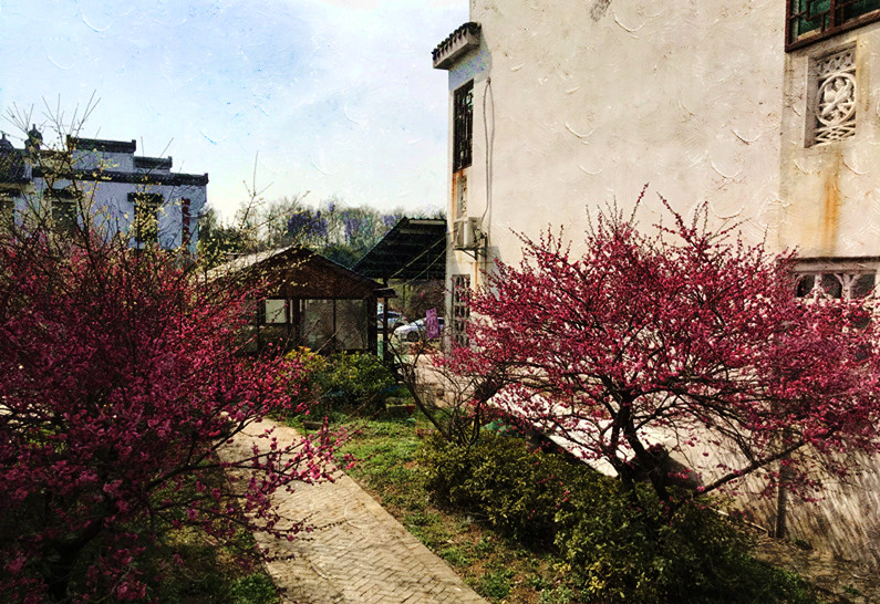 春至牛首，世凹春妆，画中徜徉，处处诗章-游南京江宁世凹桃源