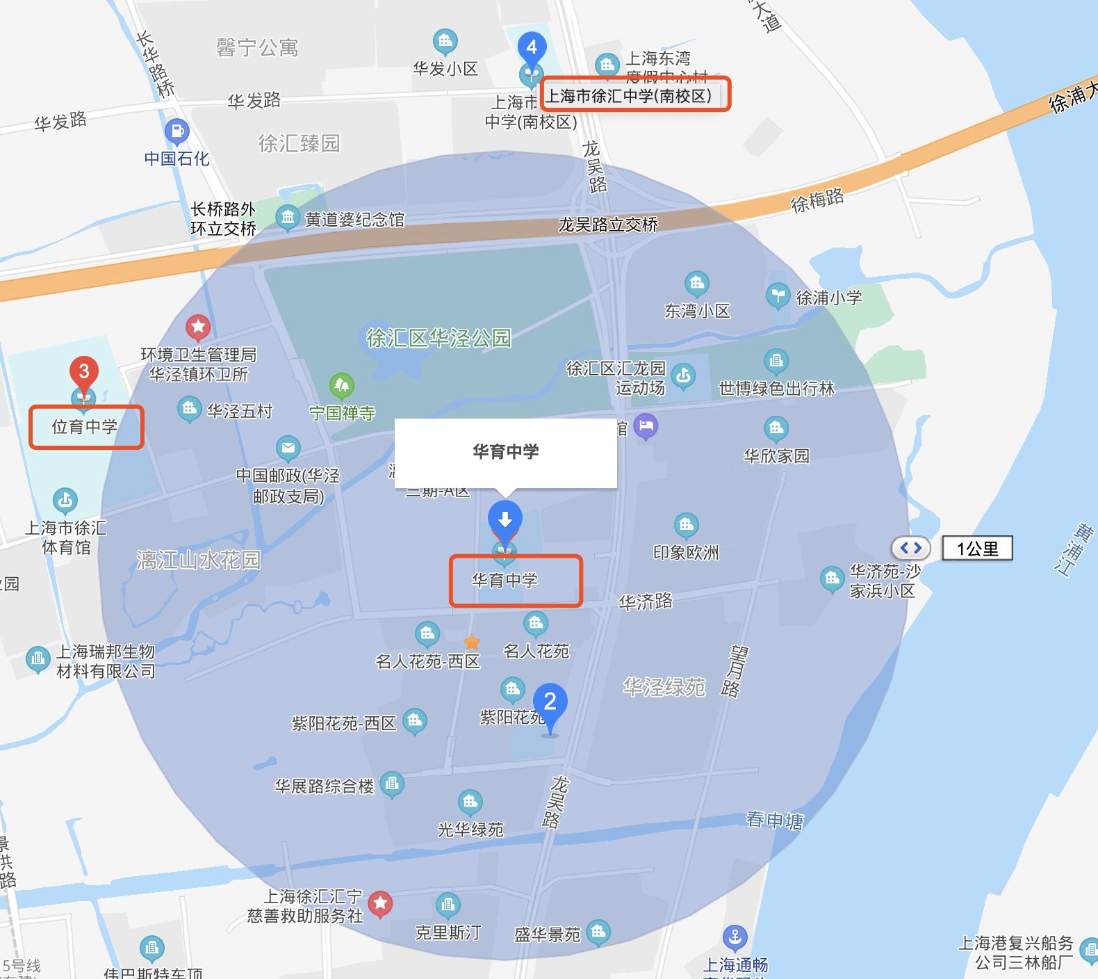 豆豆爸的投资记,豆豆爸最新视频