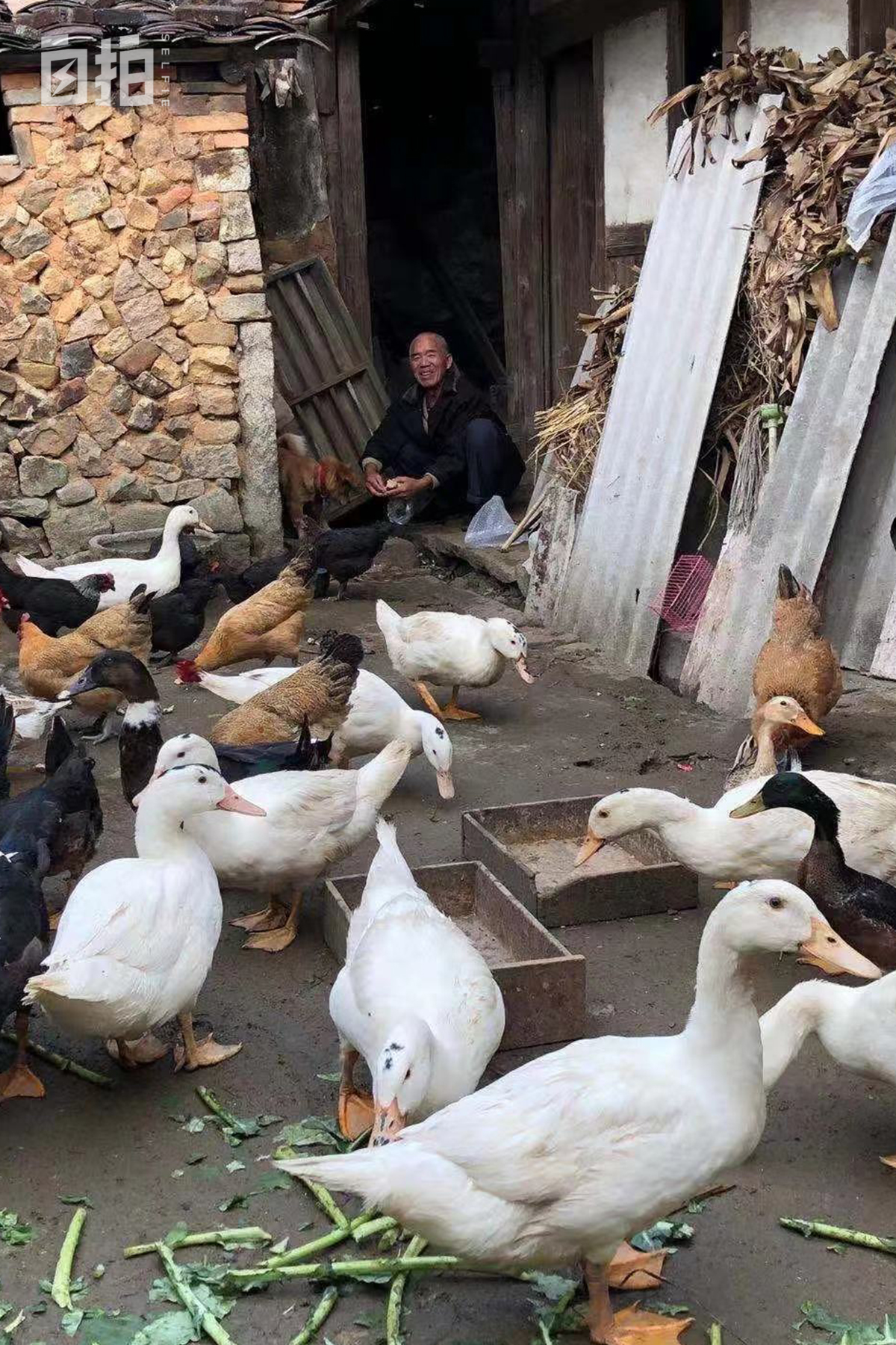 打工三年在美国买大房子,19岁到美国打工14年未回家