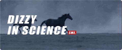 动物界跑步最快的是什么动物,动物界里跑得最快的