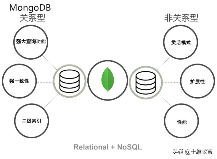 mongodb分片,mongodb介绍和特点