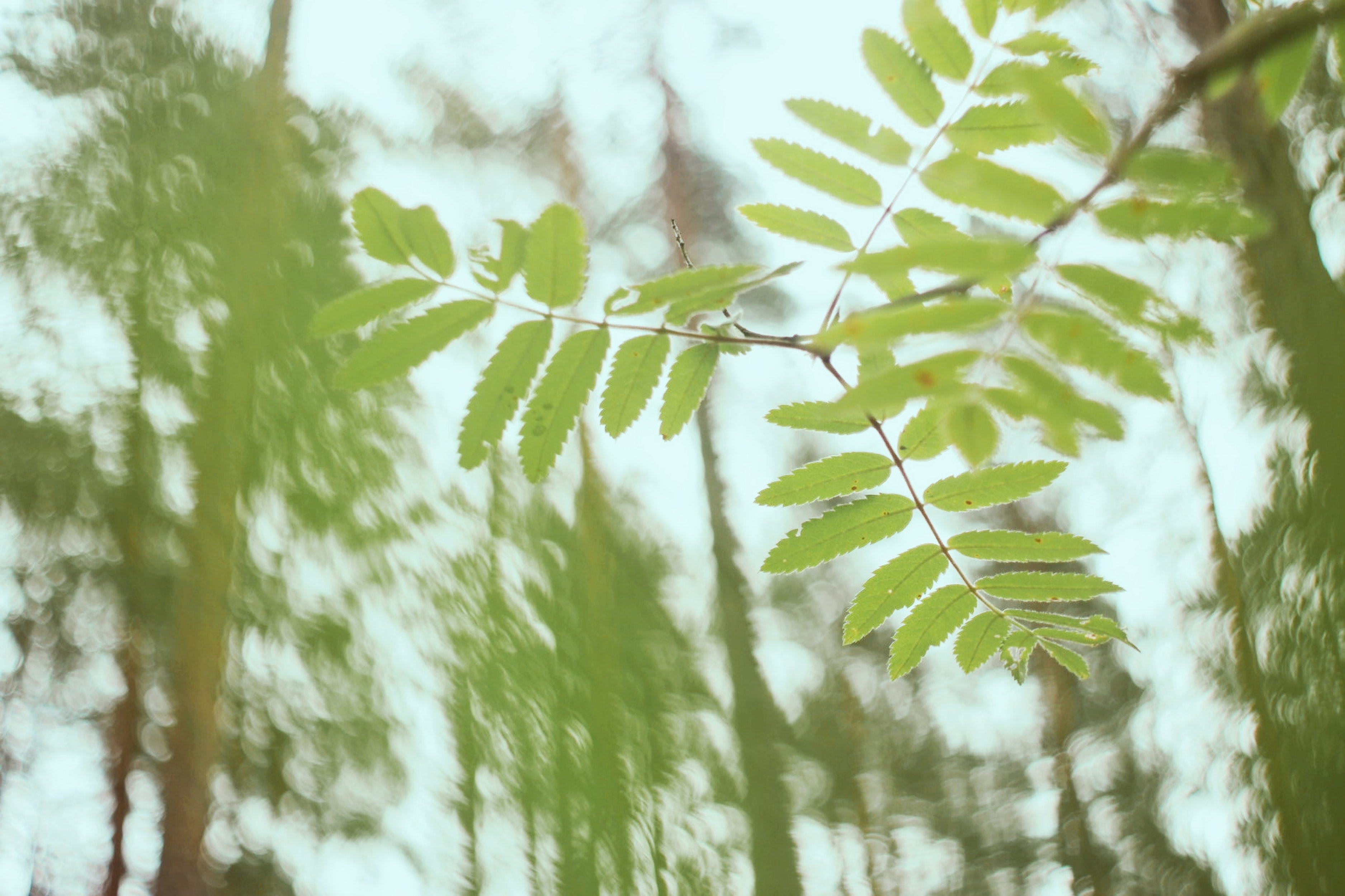 为了您和孩子的健康保持一米距离,为了孩子的身心健康请戒掉赌瘾