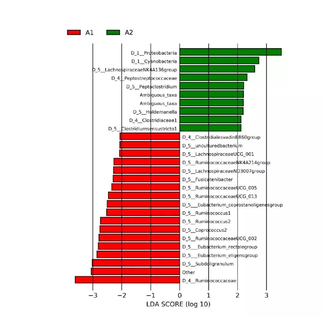 肠道菌群16s检测挂什么科,肠道菌群测序数据分析