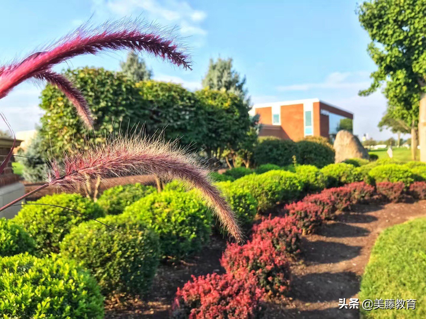 维克森林大学硕士申请难度,维克森林大学简介