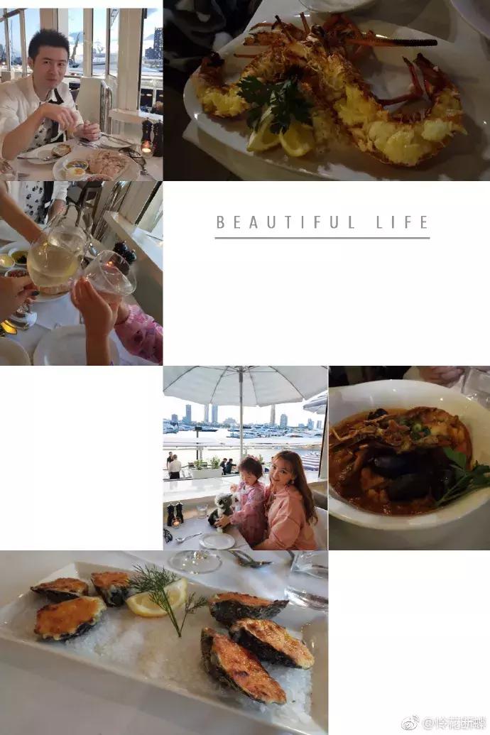 澳大利亚旅游抱考拉,麻麻游记视频大全