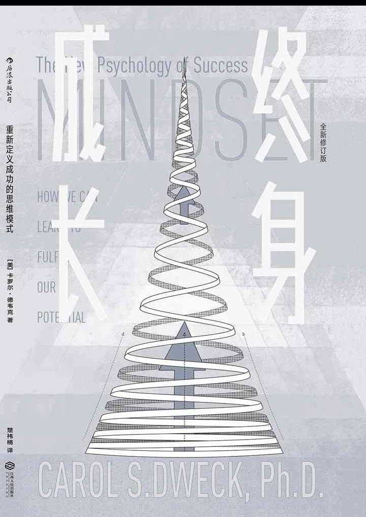 思维成长类视频,决胜大局观