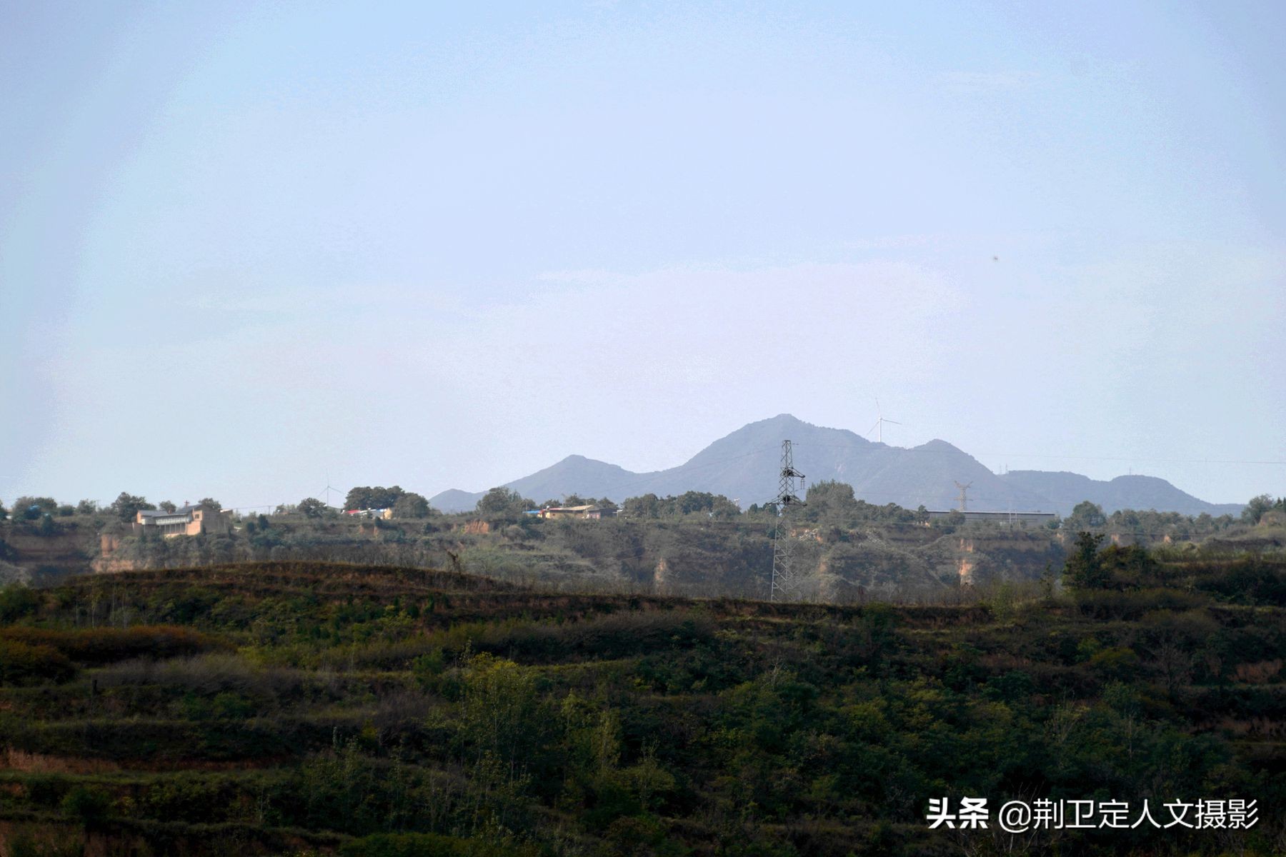 7旬大叔家发现50年生的“神草”，大如磨盘，谁要免费送