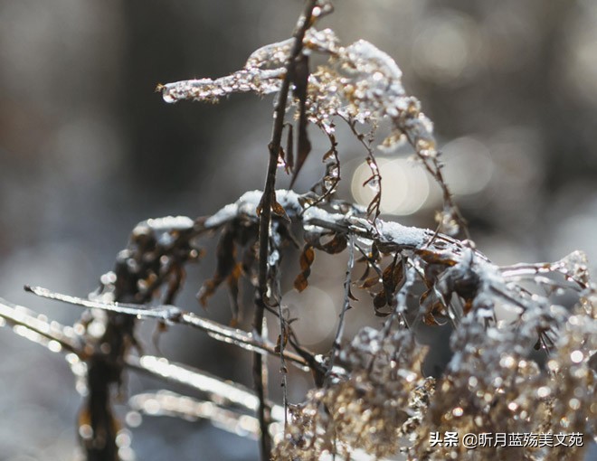 浅冬的阳光很是温暖,浅冬心中有暖时光安好