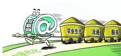 农业b2b电商行业,农业b2b电商风口