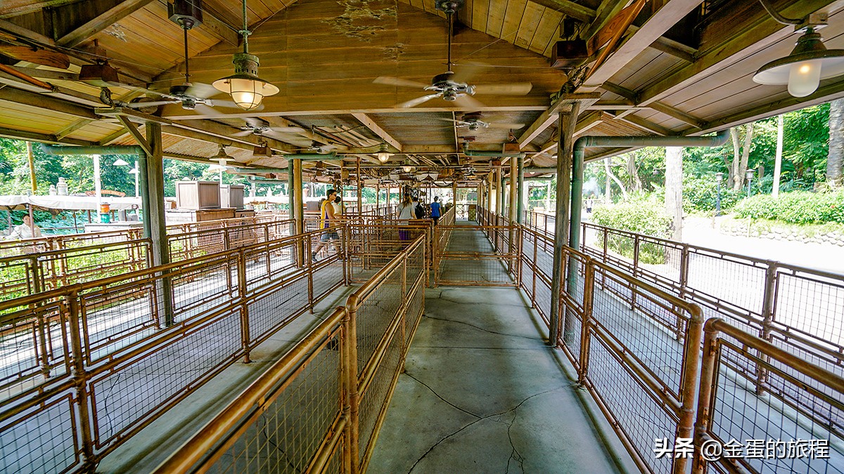 你应该能猜到,目前世界上最惨淡迪士尼乐园就是香港了,确实惨