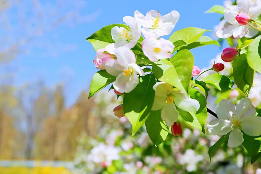 首都师范大学科德学院怎么样啊,首都师范大学科德学院乱不乱