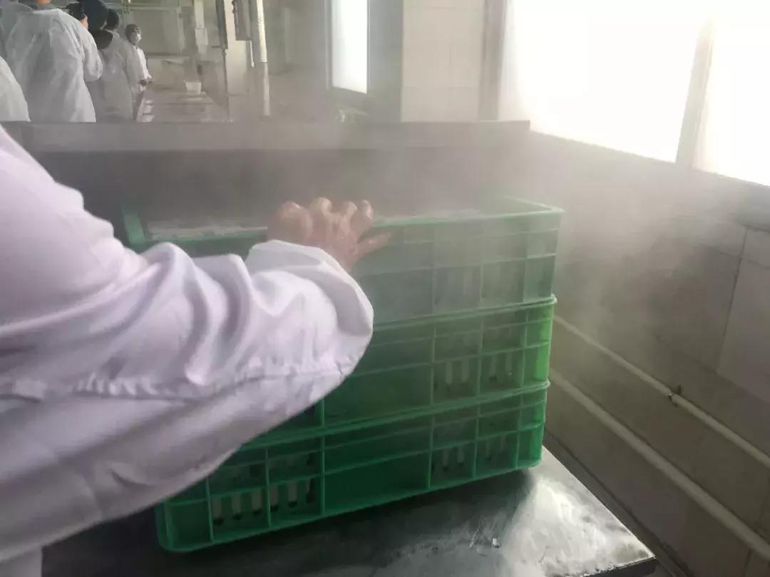 深圳豆制品生产小作坊,突查小作坊