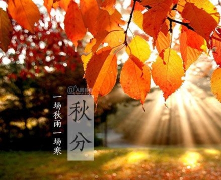 秋分节气是中国的农民丰收节,丰收节是秋分的节气吗