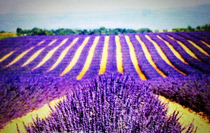 身份证410、411、412开头的,去了郑州就等于去了全世界