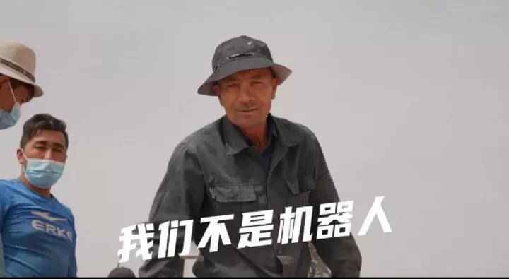 棉田里的边缘战事