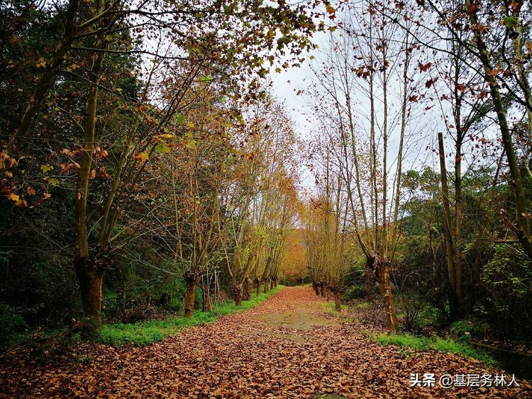 云南澄江兵工厂,云南兵工厂旧址