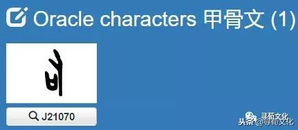 于字的艺术与中华姓氏文化,姓氏艺术汉字